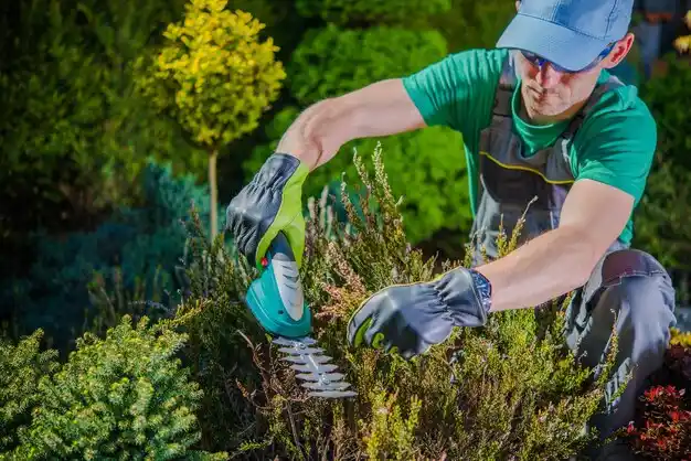 landscaping services Gibsonburg